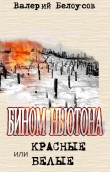 Книга Бином Ньютона, или Красные и Белые. Ленинградская сага. автора Валерий Белоусов