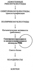Книга Биосинтез белков, мир РНК и происхождение жизни автора Александр Спирин