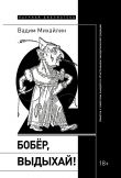 Книга Бобер, выдыхай! Заметки о советском анекдоте и об источниках анекдотической традиции автора Вадим Михайлин