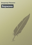 Книга Боржоми автора Владимир Маканин