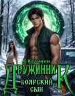 Книга Боярский сын. Дружинник Часть первая (СИ) автора Алексей Калинин