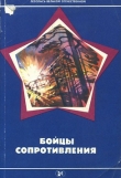 Книга Бойцы Сопротивления автора Николай Пронин
