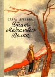 Книга Брат Молчаливого Волка автора Клара Ярункова