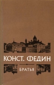 Книга Братья автора Константин Федин