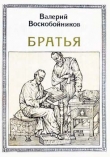 Книга Братья: Кирилл и Мефодий автора Валерий Воскобойников