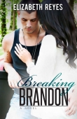 Книга Breaking Brandon автора Elizabeth Reyes