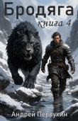Книга Бродяга Книга четвертая (СИ) автора Андрей Первухин