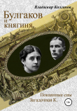 Книга Булгаков и княгиня автора Владимир Колганов