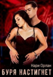 Книга Буря настигнет (СИ) автора Нари Орлан