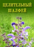 Книга Целительный шалфей автора Иван Дубровин