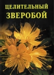 Книга Целительный зверобой автора Иван Дубровин