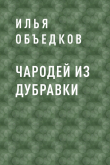 Обложка: Чародей из Дубравки