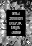 Книга Частная собственность государства автора Екатерина Шалдова