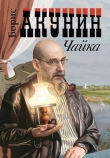 Книга Чайка автора Борис Акунин