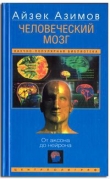 Книга Человеческий мозг. От аксона до нейрона. автора Айзек Азимов