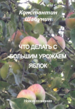 Книга Что делать с большим урожаем яблок? автора Константин Шабунин
