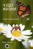 Книга Чудо жизни автора Игорь Ушаков