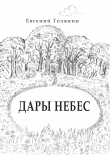 Книга Дары небес автора Евгений Голянин