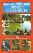 Книга Декоративные пруды и водоемы автора Наталья Иванова