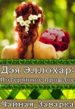 Книга Дэя Эллохар: Потерянное прошлое (СИ) автора Чайная_Заварка