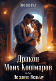 Книга Дракон Моих Кошмаров или Не злите Ведьму (СИ) автора София Рyд