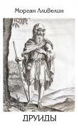 Книга Друиды (ЛП) автора Морган Лливелин