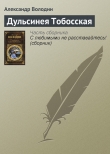 Книга Дульсинея Тобосская автора Александр Володин
