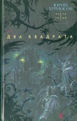 Книга Два квадрата автора Юрий Бурносов