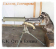 Книга Е.Н. Отт и Ехидна (СИ) автора Галина Гончарова