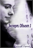 Книга Эксперт. Объект 3 (СИ) автора Сергей Соколов