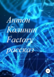 Книга Factory автора Антон Калинин