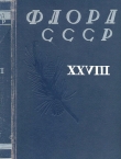 Книга Флора СССР т.28 автора авторов Коллектив