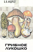 Книга Грибное лукошко автора Борис Андрест