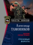 Книга Грозовые ворота (Один к десяти) автора Александр Тамоников