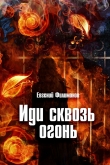 Книга Иди сквозь огонь автора Евгений Филимонов