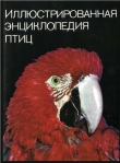 Книга Иллюстрированная энциклопедия птиц автора Ян Ганзак