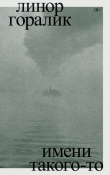 Книга Имени такого-то автора Линор Горалик