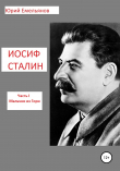 Книга Иосиф Сталин. Мальчик из Гори автора Юрий Емельянов