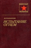 Книга Испытание огнем автора Михаил Калашник