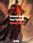 Книга Испытание (СИ) автора Николай Раздоров