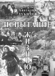 Книга Испытание жизнью автора Анатолий Лубичев