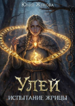 Книга Испытание жрицы (СИ) автора Юлия Жукова