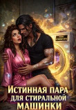 Книга Истинная пара для Стиральной машинки (СИ) автора Ника Лорен