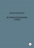 Книга История керосиновой лампы автора Владимир Бровко