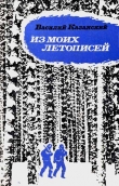 Книга Из моих летописей автора Василий Казанский