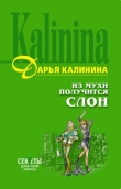 Книга Из мухи получится слон автора Дарья Калинина