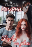 Книга Измена. Развод на двоих (СИ) автора Сэлли Собер