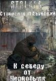 Книга К северу от Чернобыля (СИ) автора Гекк