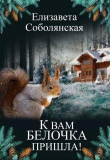 Книга К вам белочка пришла... (СИ) автора Елизавета Соболянская