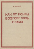 Книга Как от искры возгорелось пламя автора Александр Шотман